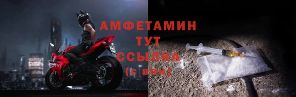 apvp Гусев